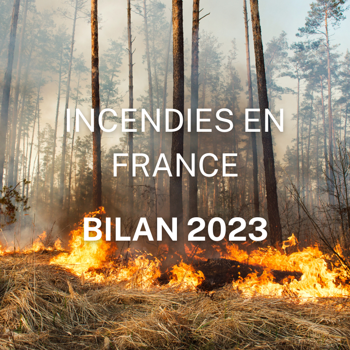 FEUX DE FORET FRANCE BILAN 2023 QUEL EST LE NOMBRE D'INCENDIES EN FRANCE STME FIRE 06 PROVENCE ALPES COTE D'AZUR FRANCE