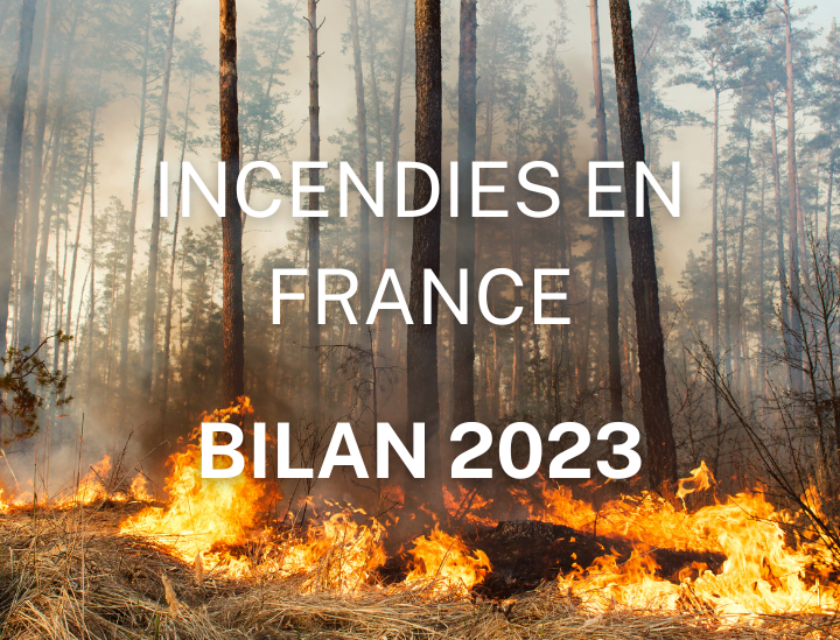 FEUX DE FORET FRANCE BILAN 2023 QUEL EST LE NOMBRE D'INCENDIES EN FRANCE STME FIRE 06 PROVENCE ALPES COTE D'AZUR FRANCE