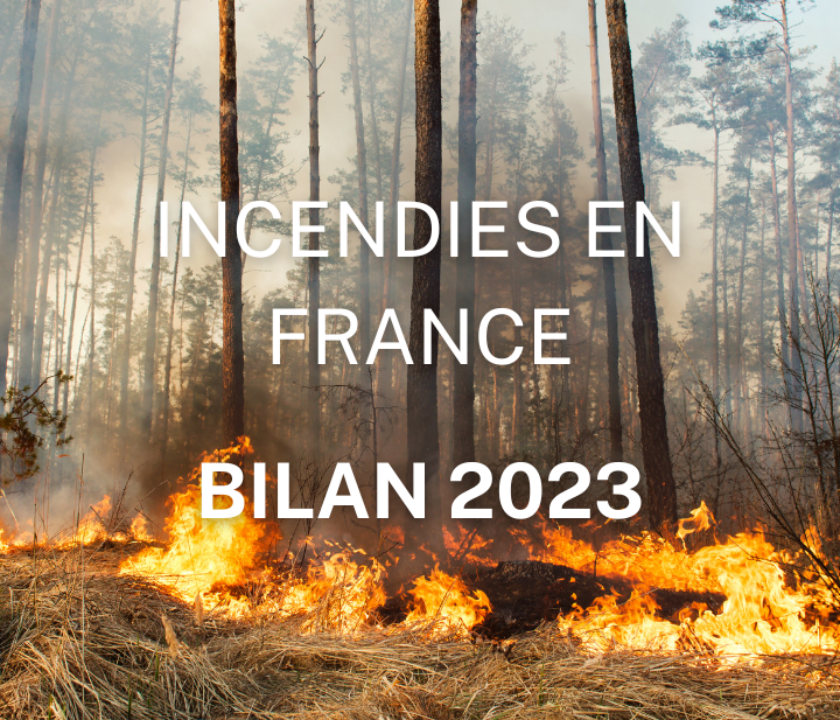 FEUX DE FORET FRANCE BILAN 2023 QUEL EST LE NOMBRE D'INCENDIES EN FRANCE STME FIRE 06 PROVENCE ALPES COTE D'AZUR FRANCE