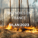 Quel est le nombre d’incendie en France ? Notre bilan de 2023