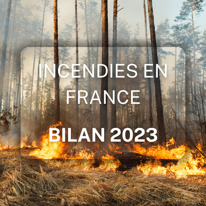 FEUX DE FORET FRANCE BILAN 2023 QUEL EST LE NOMBRE D'INCENDIES EN FRANCE ? STME FIRE 06 PROVENCE ALPES COTE D'AZUR FRANCE