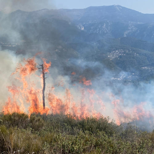 figure-5-hauteur-des-flammes-STME-FIRE