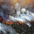 Incendie de forêt : source d’émissions de CO2 qui détruisent la planète